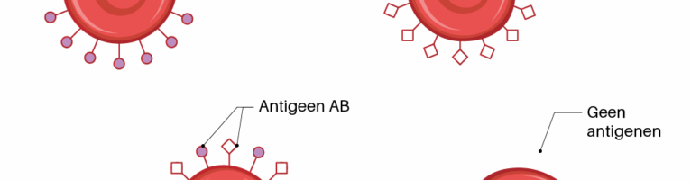 Bloedgroepen